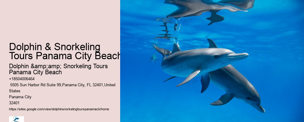 Panama City Beach Dolphin Tour With Snorkeling