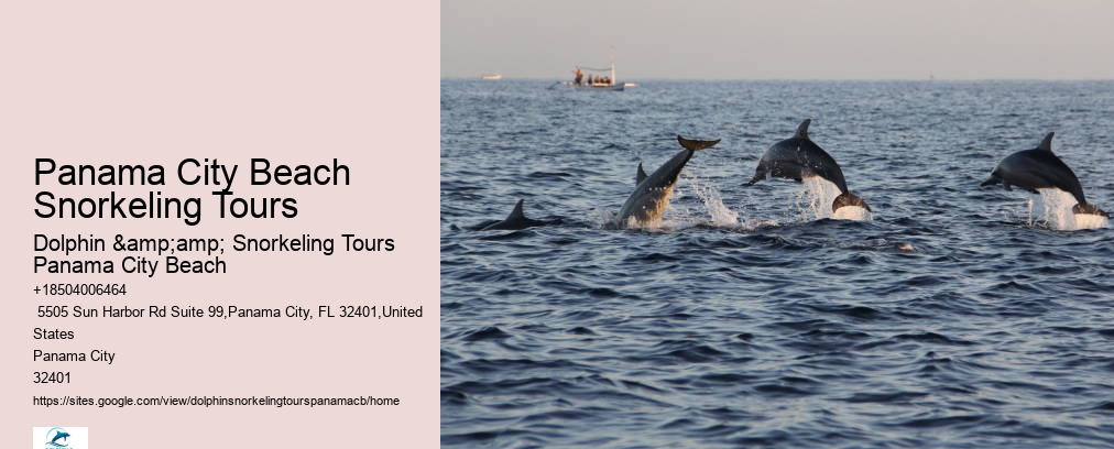 Dolphin And Snorkeling Tours Panama City Beach