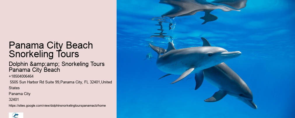 Dolphin And Snorkeling Tours Panama City Beach Fl