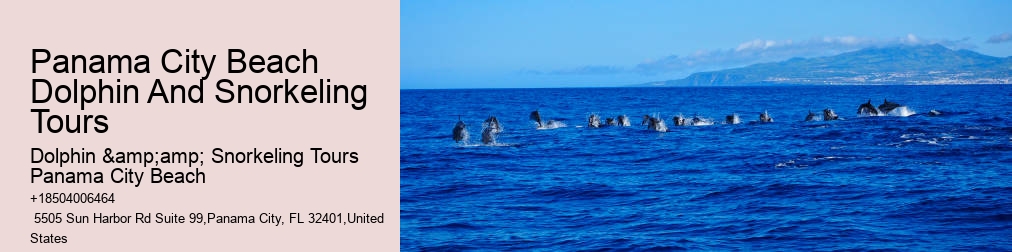 Dolphin & Snorkeling Tours Panama City Beach