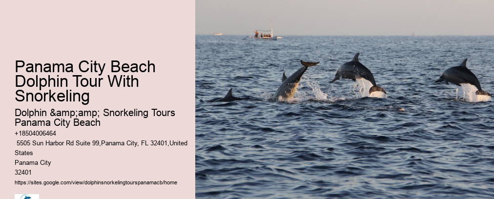 Snorkel Tour Panama City Beach