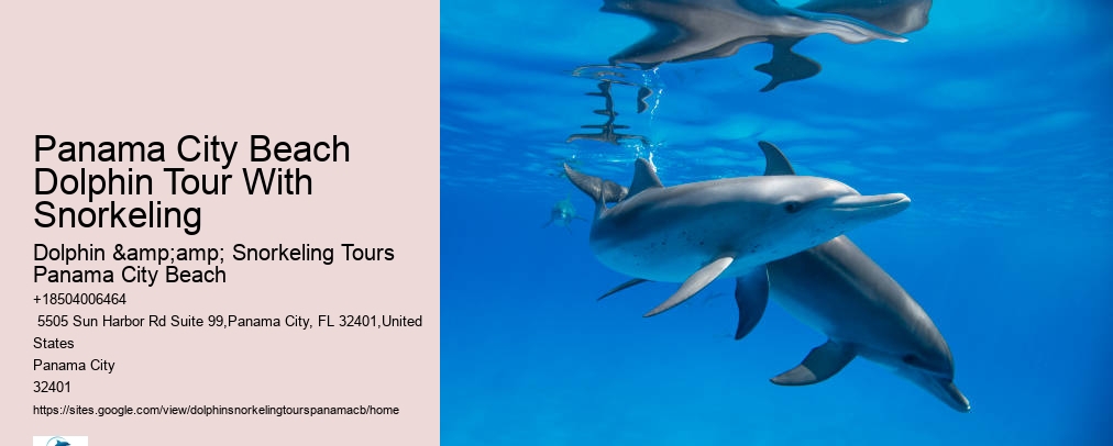 Snorkeling Tours Panama City Beach