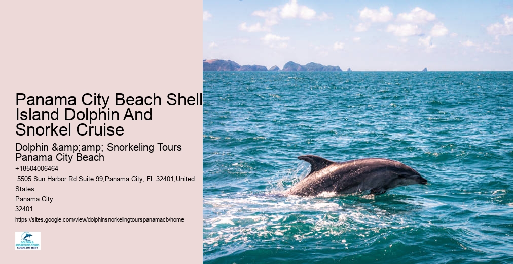 Snorkeling Trips Panama City Beach