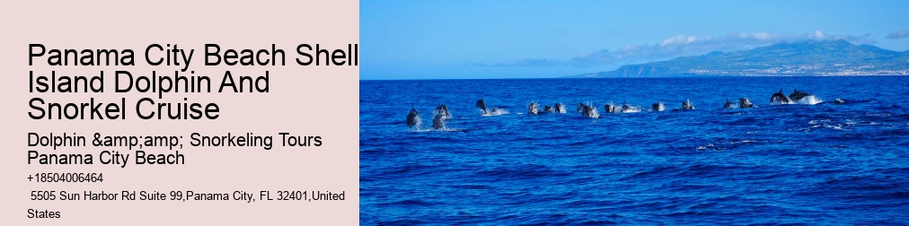 Shell Island Snorkeling