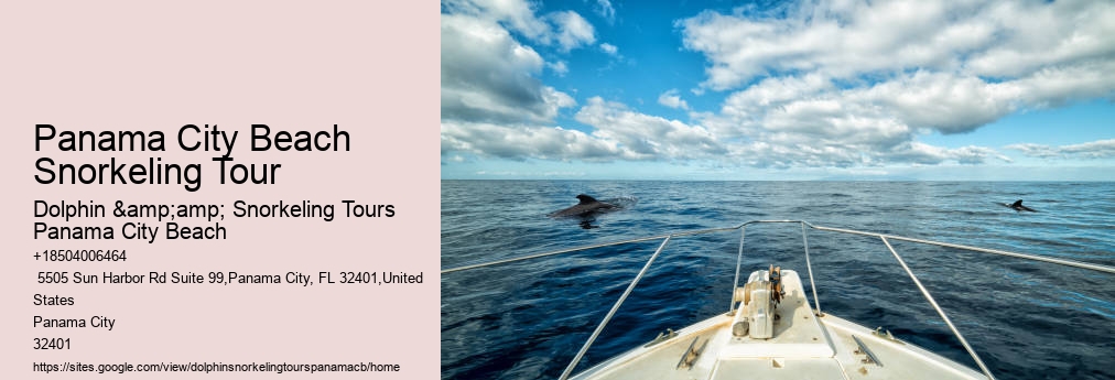 Dolphin And Snorkel Tours Panama City Beach