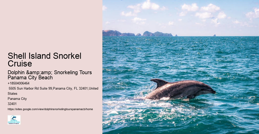 Dolphin And Snorkeling Tours Panama City Beach