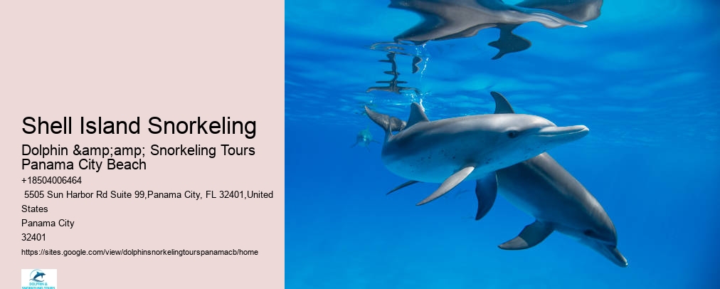 Snorkeling Tours Panama City Beach