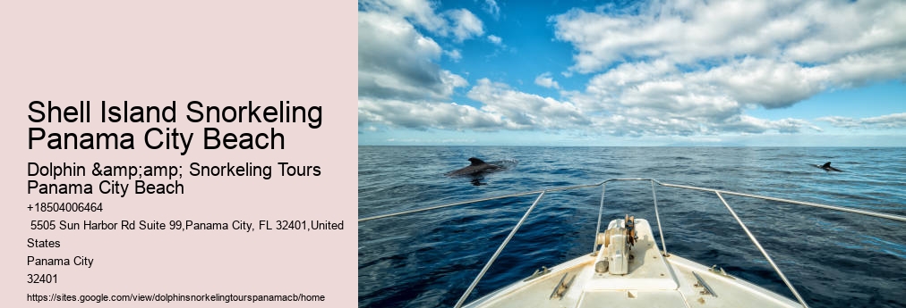 Dolphin & Snorkeling Tours Panama City Beach