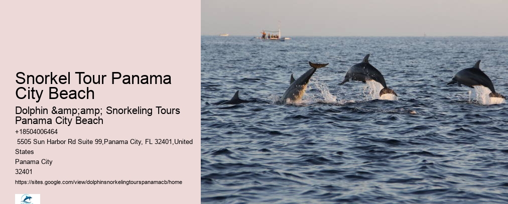 Dolphin And Snorkel Tours Panama City Beach