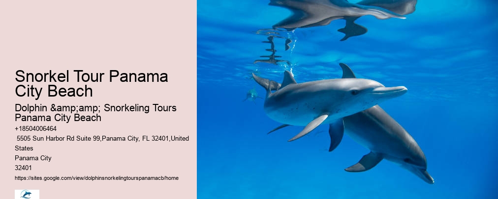 Dolphin & Snorkeling Tours Panama City Beach