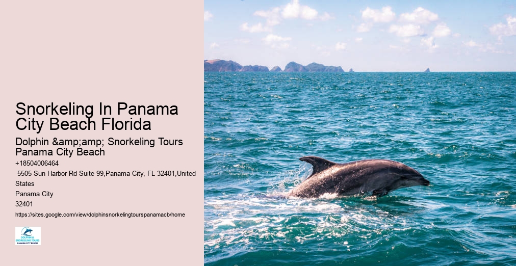 Panama City Beach Snorkeling Tour