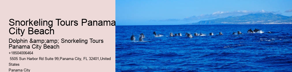 Dolphin & Snorkeling Tours Panama City Beach