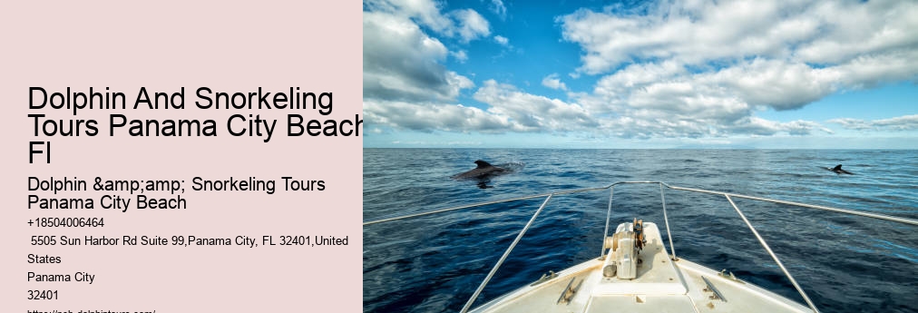 Dolphin And Snorkel Tours Panama City Beach Florida