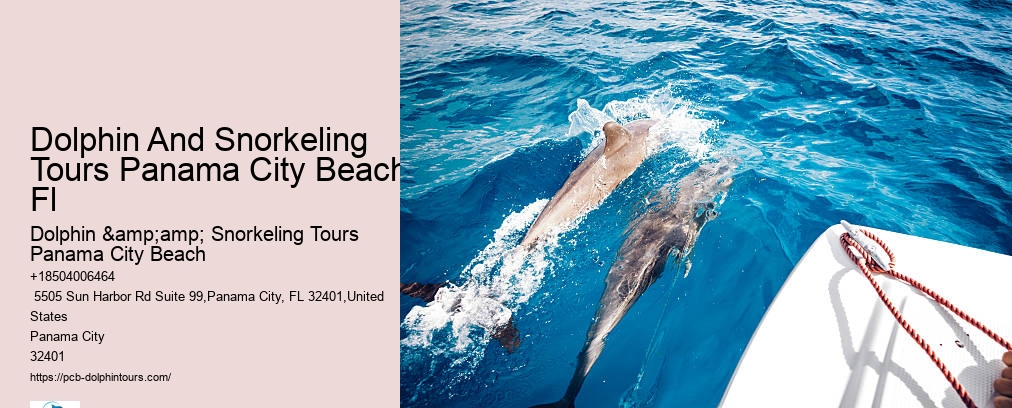 Panama City Beach Dolphin Tour With Snorkeling