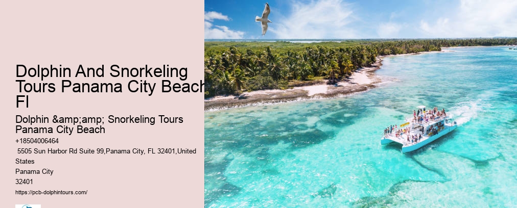 Dolphin And Snorkeling Tours Panama City Beach
