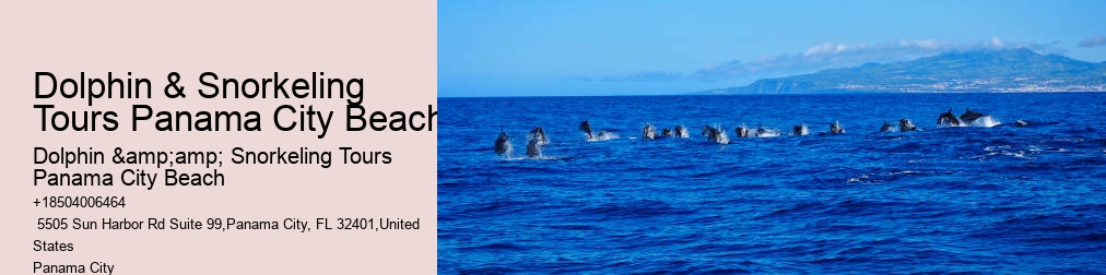 Snorkeling Tours Panama City Beach