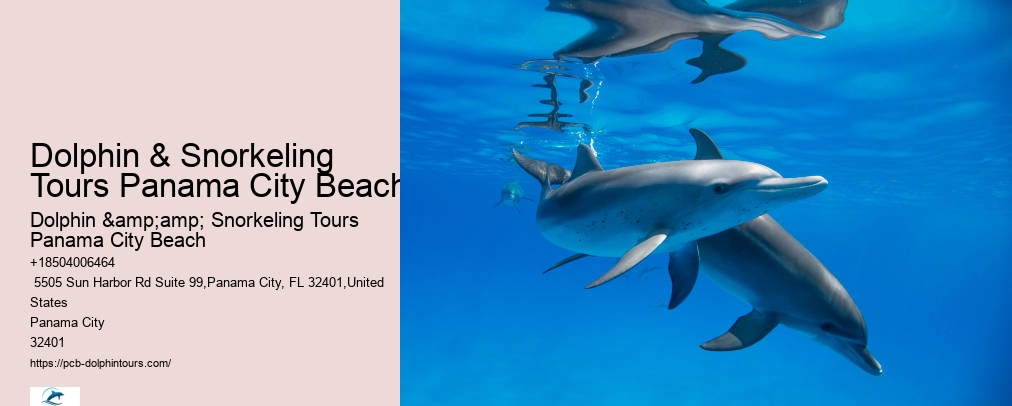 Dolphin & Snorkeling Tours Panama City Beach