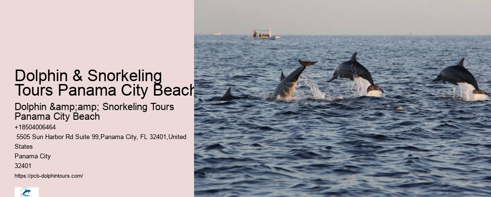 Dolphin & Snorkeling Tours Panama City Beach