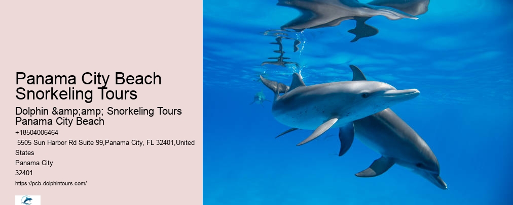 Panama City Beach Snorkeling Tour