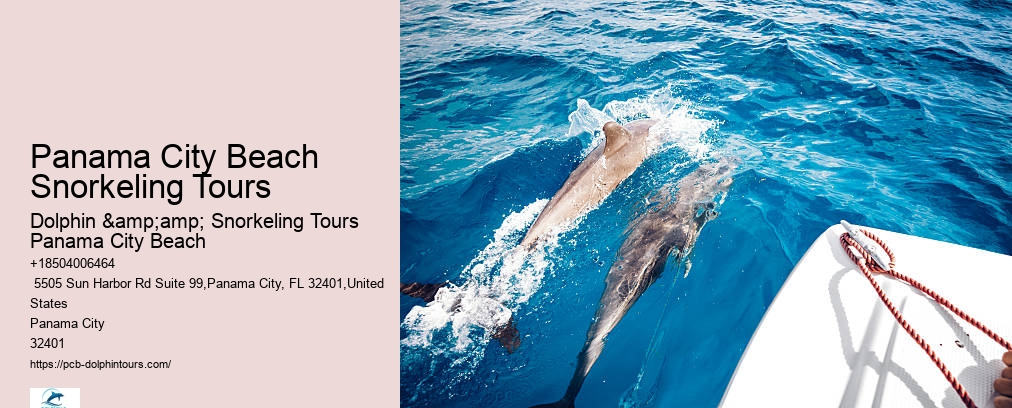 Panama City Beach Snorkeling Tours 