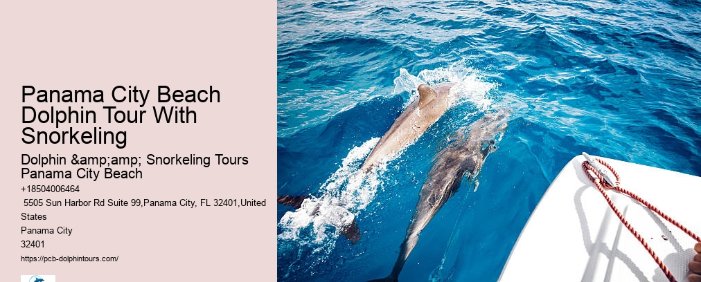 Snorkel Tour Panama City Beach
