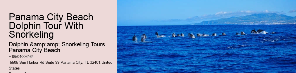 Dolphin And Snorkeling Tours Panama City Beach Fl