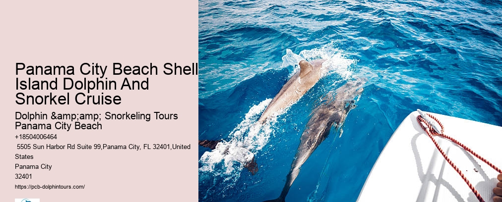 Panama City Beach Shell Island Dolphin And Snorkel Cruise