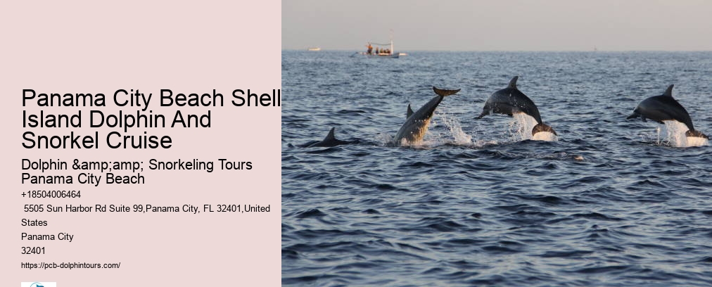 Shell Island Snorkel Cruise