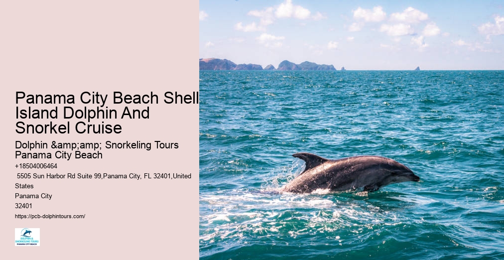 Panama City Beach Snorkeling Tour