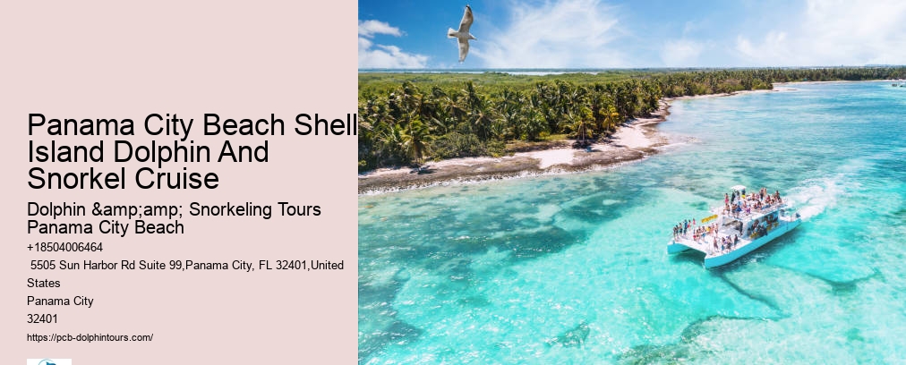 Shell Island Snorkeling
