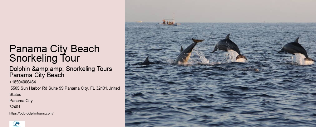 Dolphin & Snorkeling Tours Panama City Beach