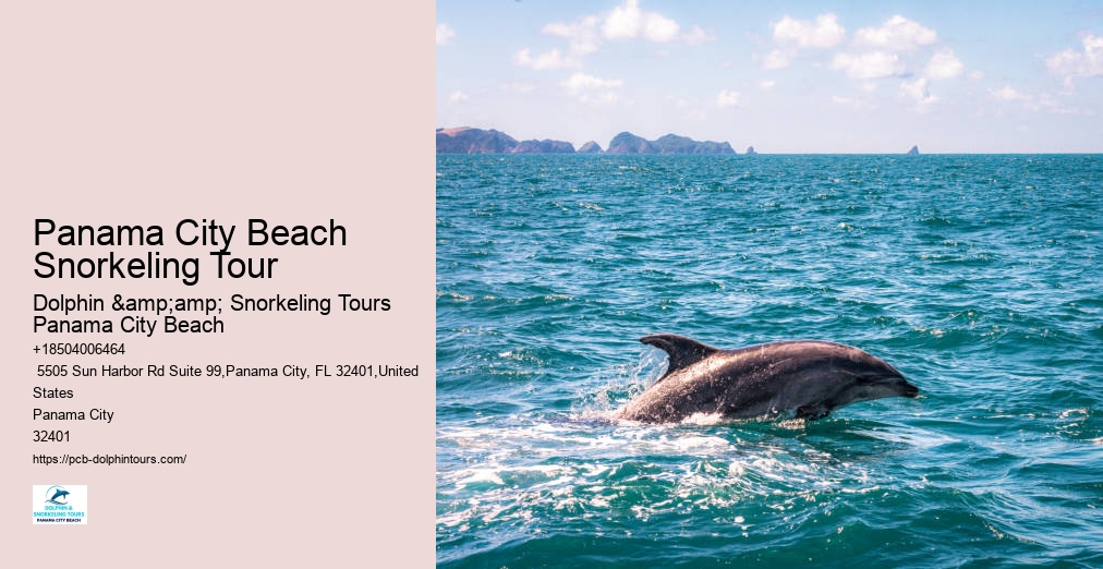 Panama City Beach Snorkeling Tour