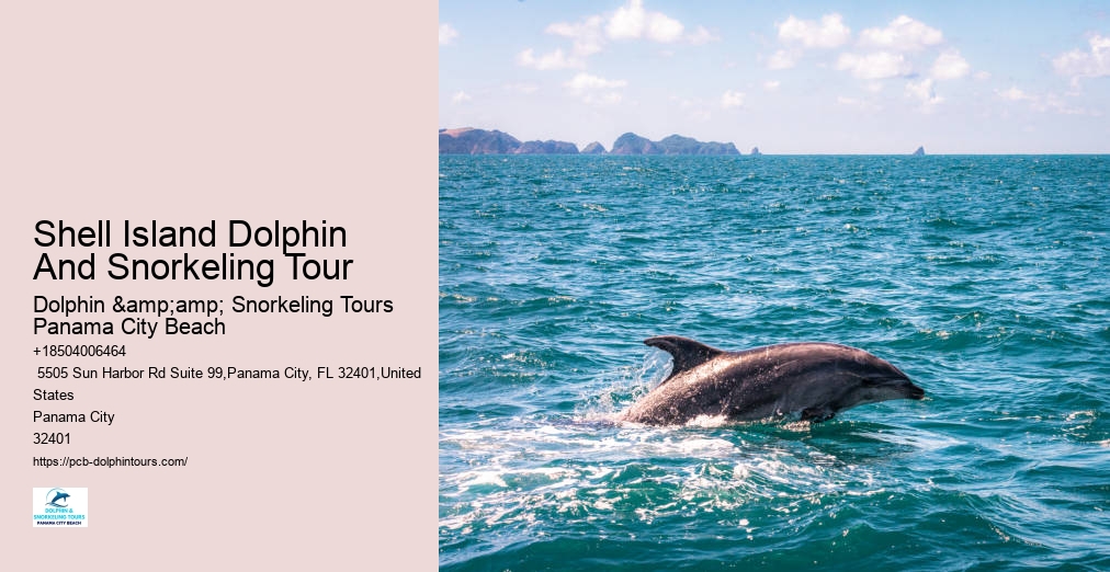 Dolphin And Snorkel Tours Panama City Beach