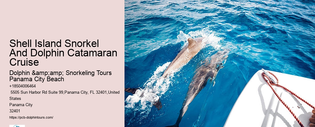 Shell Island Snorkel And Dolphin Catamaran Cruise