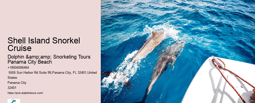 Shell Island Snorkel Cruise