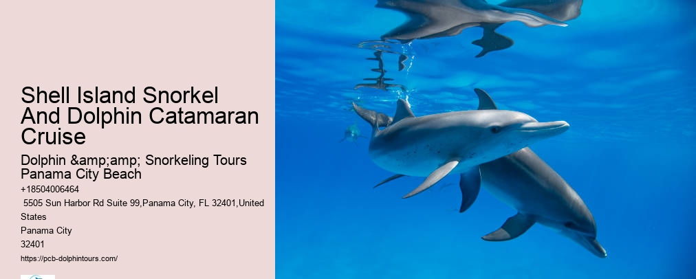 Snorkeling Trips Panama City Beach