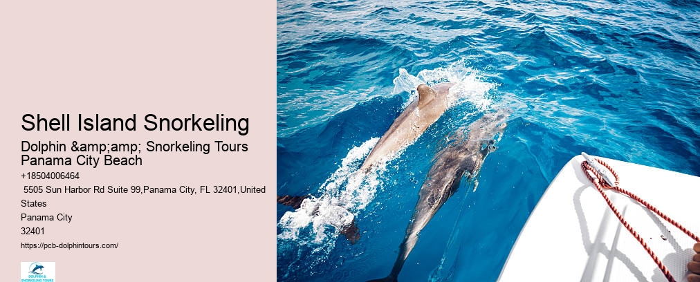 Dolphin & Snorkeling Tours Panama City Beach