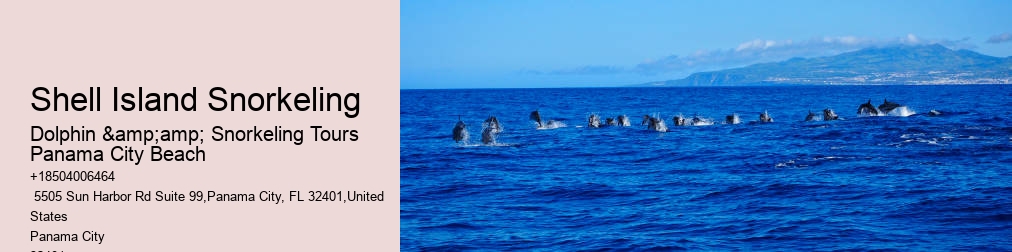 Panama City Beach Snorkeling Tour
