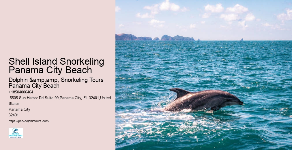 Dolphin And Snorkeling Tours Panama City Beach Fl