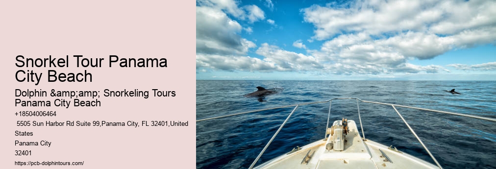 Dolphin And Snorkeling Tours Panama City Beach Fl