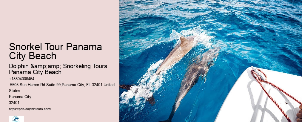 Panama City Beach Snorkeling Tour