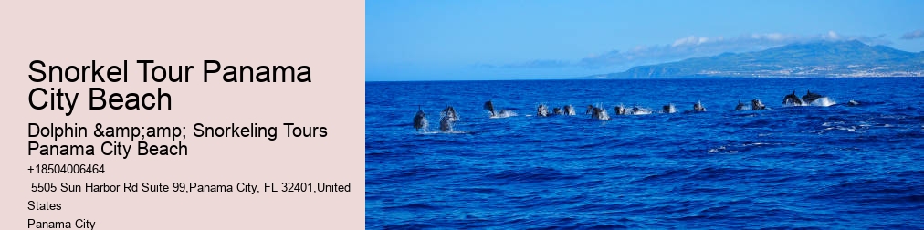 Shell Island Snorkel Cruise
