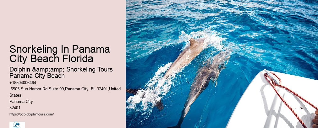 Dolphin And Snorkeling Tours Panama City Beach Fl