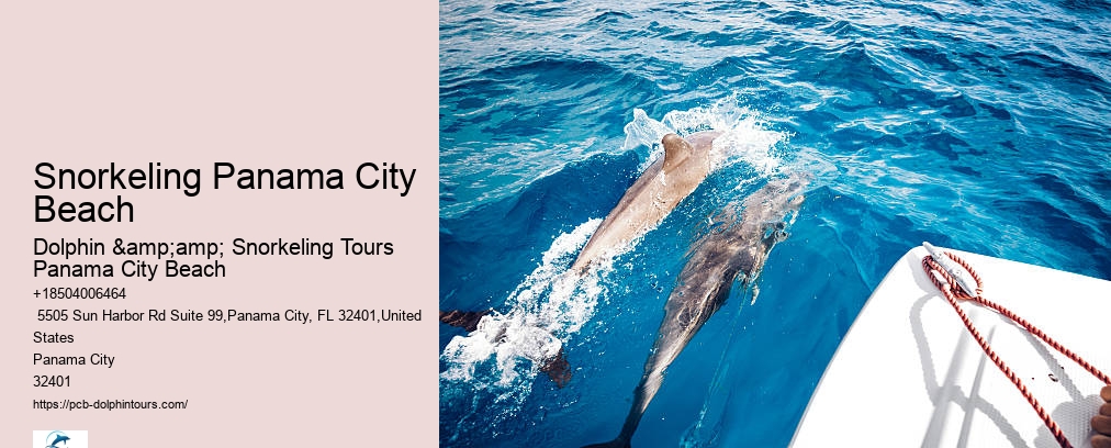 Dolphin And Snorkeling Tours Panama City Beach Fl