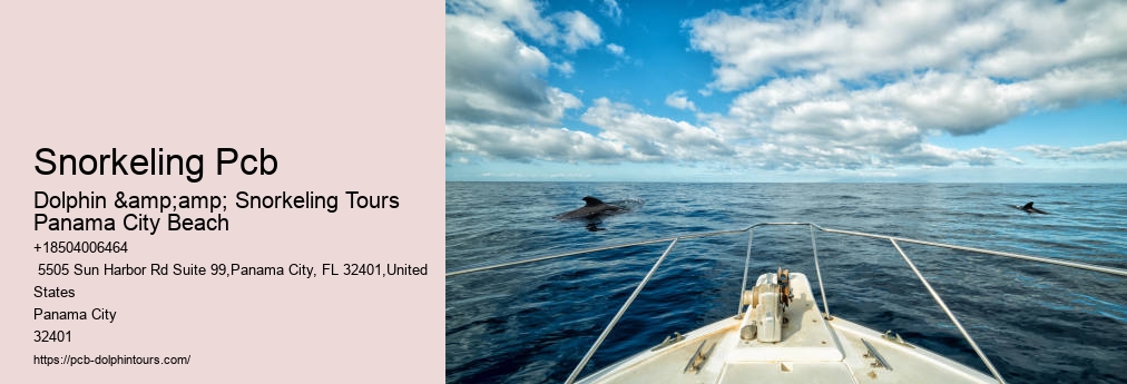 Panama City Beach Dolphin Tour With Snorkeling