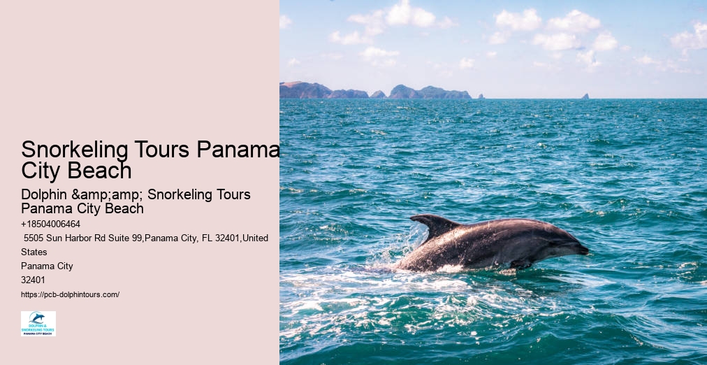 Dolphin And Snorkel Tours Panama City Beach Florida