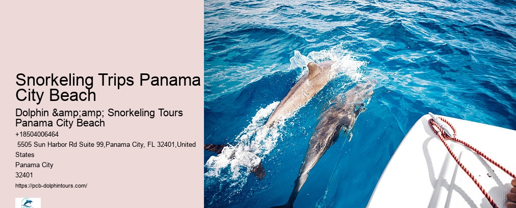 Snorkeling Trips Panama City Beach