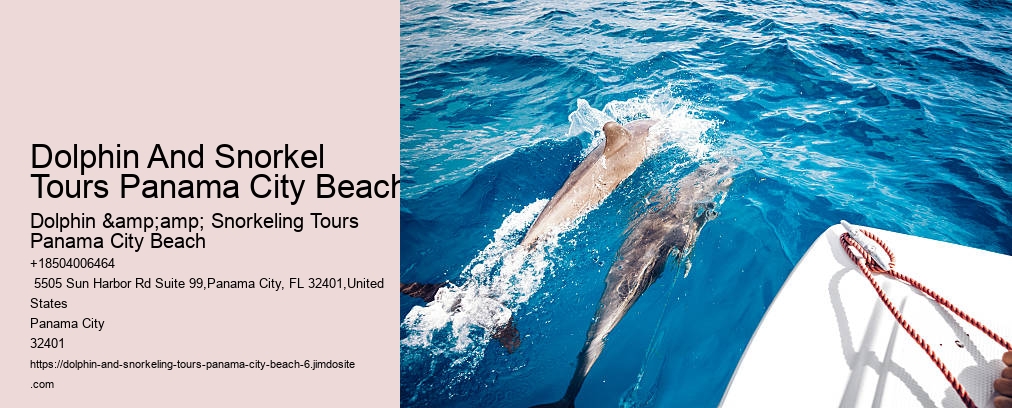 Panama City Beach Snorkeling Tours