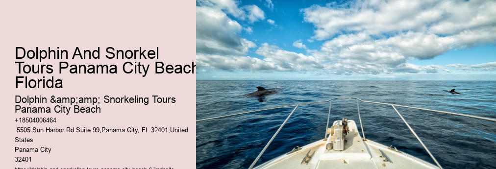 Dolphin & Snorkeling Tours Panama City Beach