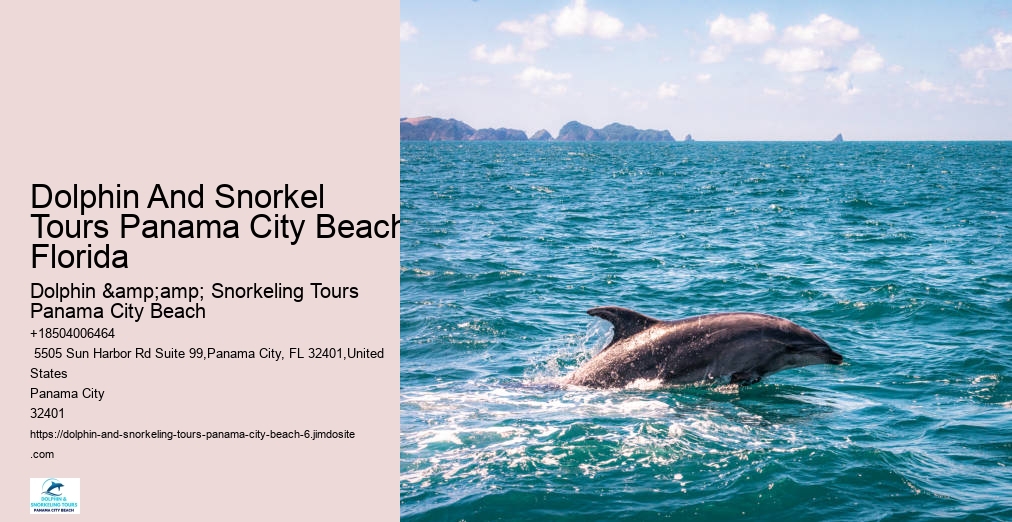 Snorkel Tour Panama City Beach